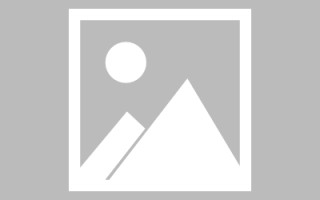 张家口龙江乐从网站建设（乐从和龙江）